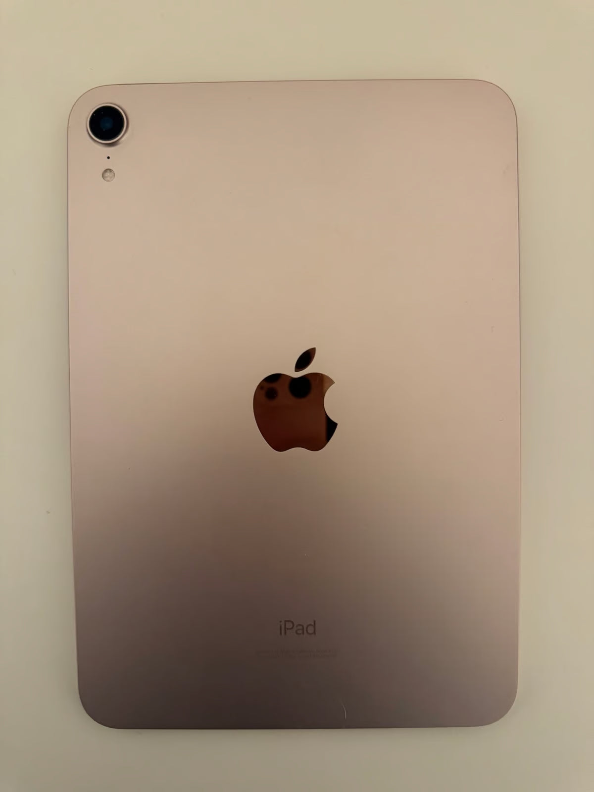 iPad mini 6th 5Y52