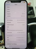 iphone 12 pro max unlocked 128GB Graphite 1F22