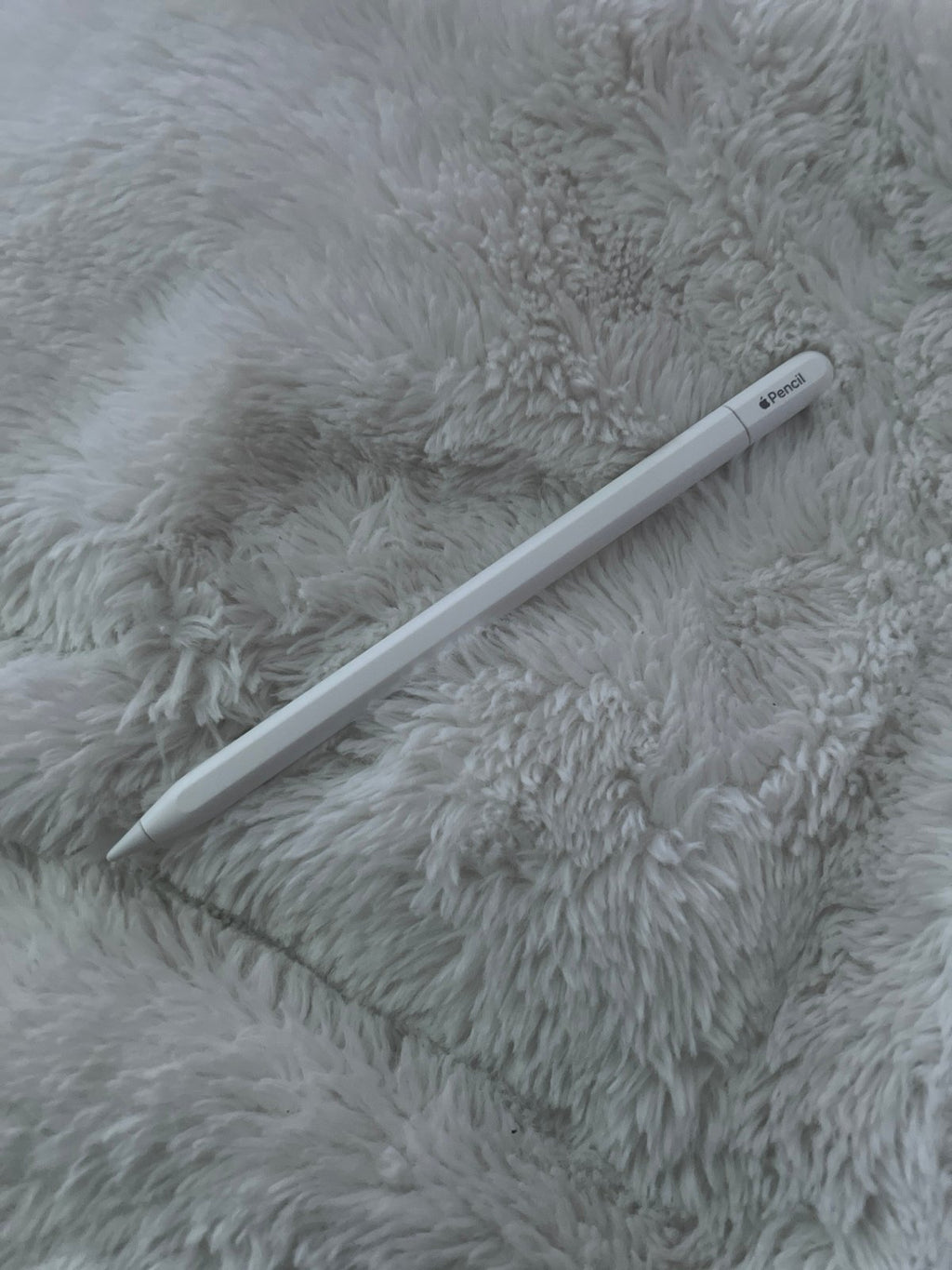 iPad Pro 12.9 inch 3rd Gen - 256GB WiFi 6E97