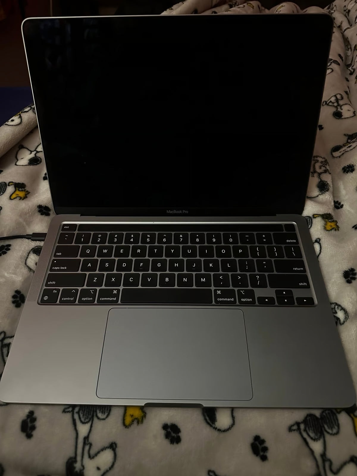 Apple Macbook Pro A2238 2020 1V91
