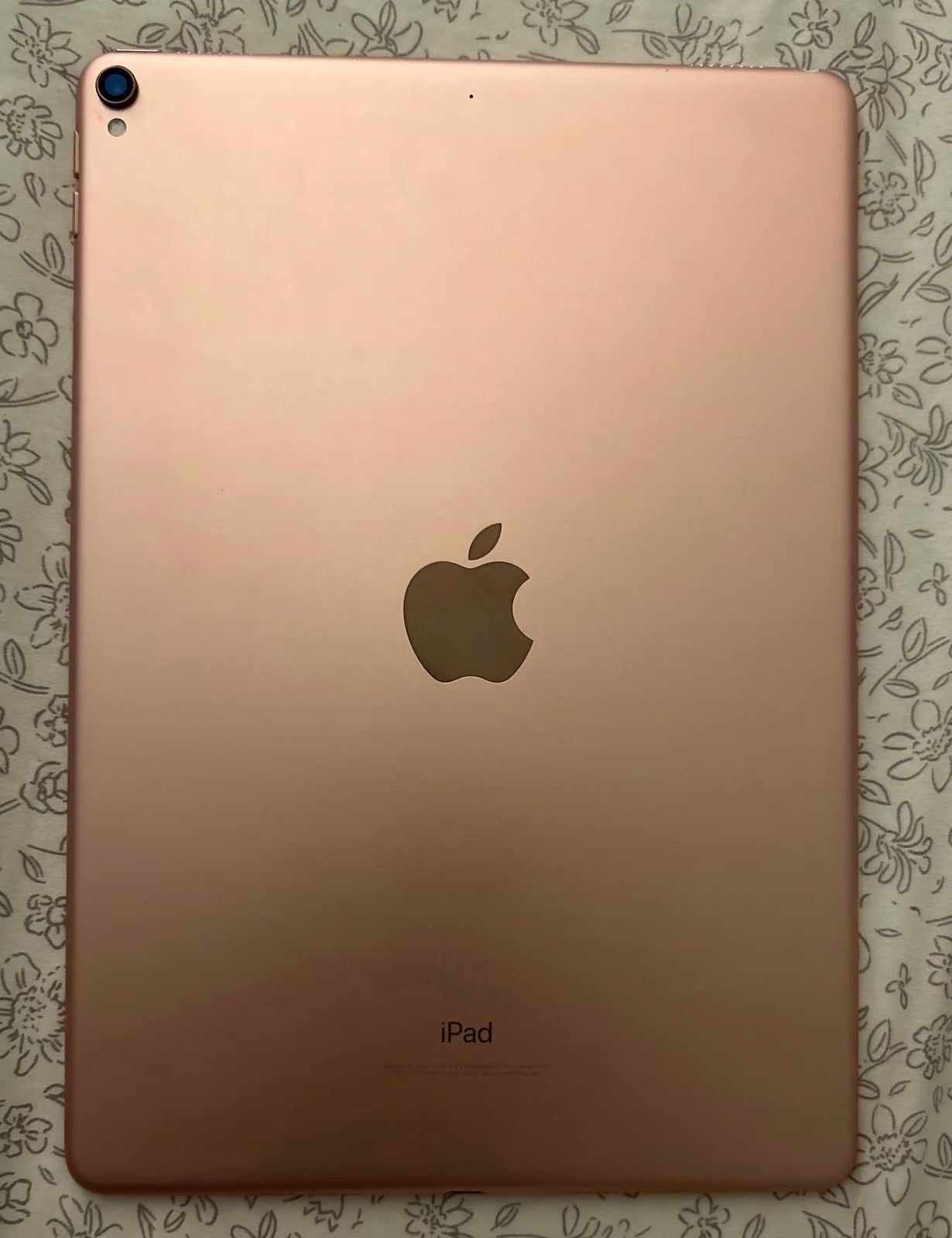 iPad Pro 3Q78