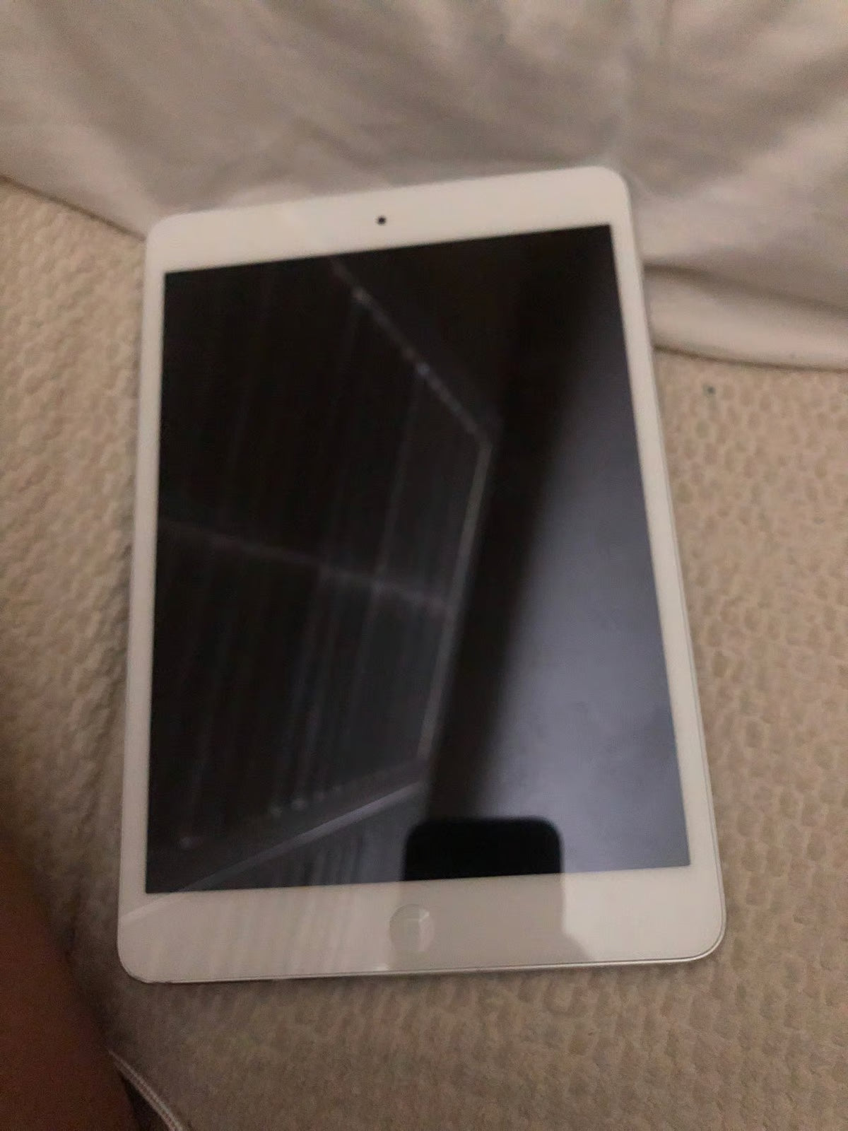iPad Mini 5H87