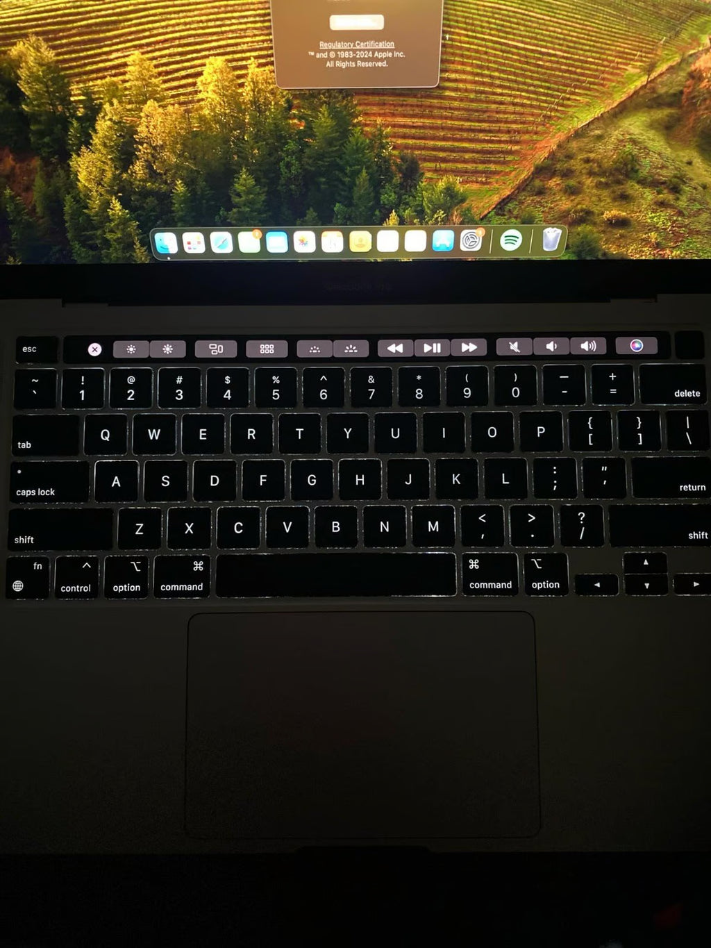 macbook pro 2020 m1 5C58