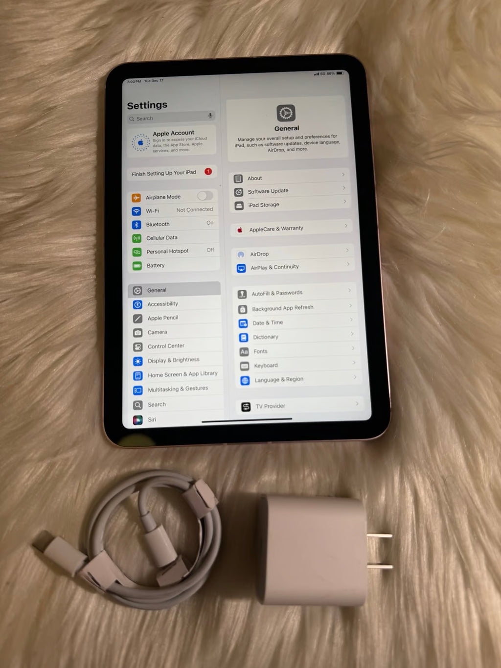 iPad Mini 6th Generation WiFi + Cellular Unlocked - Active eSim Internet Free 6U92