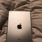 iPad Mini 3Q99