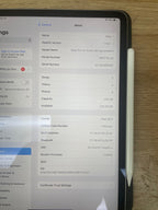 iPad Pro 4th gen 256 gb WiFi + cellular (unlocked) 11 inch 9T58