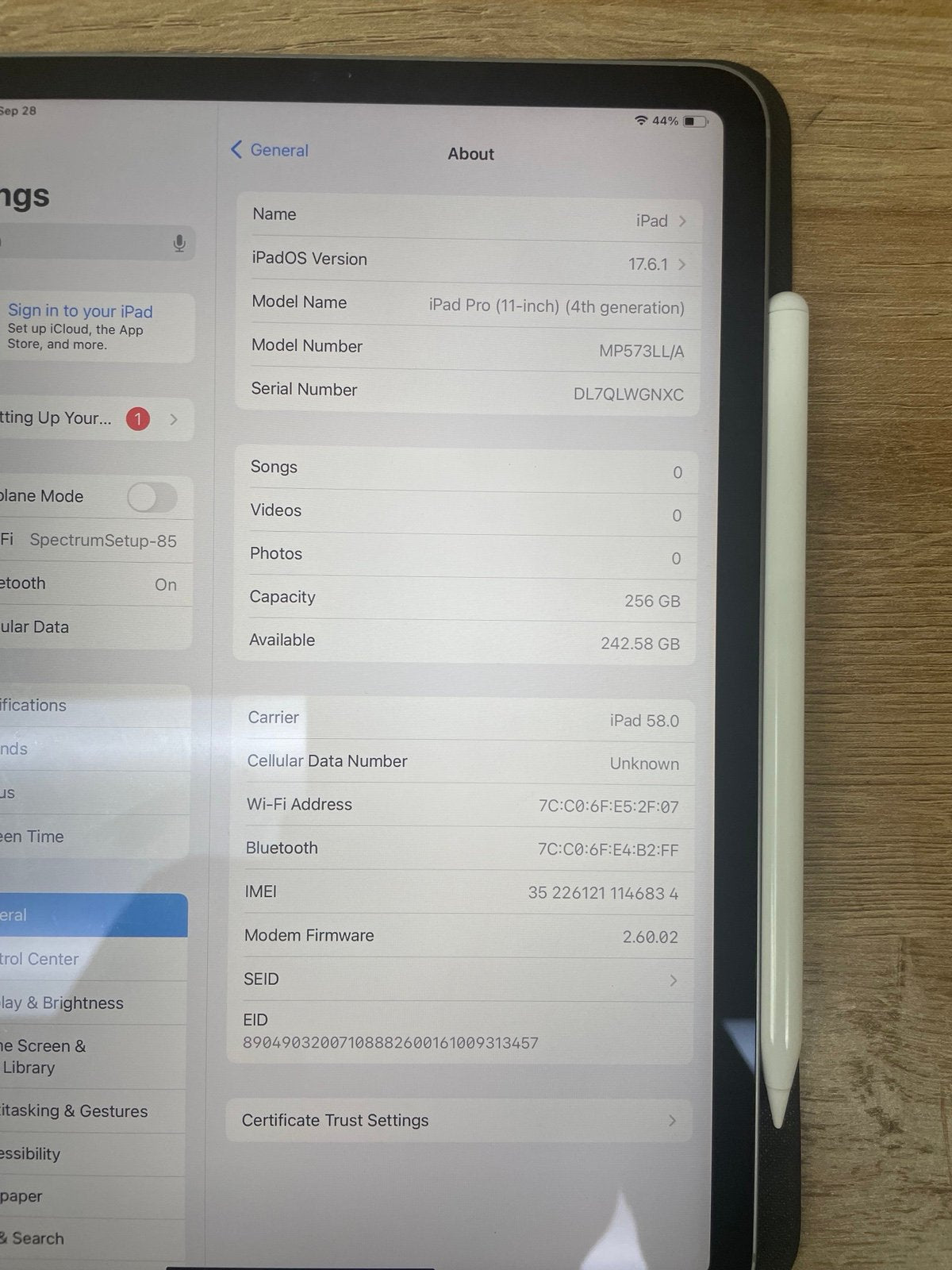 iPad Pro 4th gen 256 gb WiFi + cellular (unlocked) 11 inch 9T58