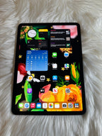Apple iPad Pro 11 Inch WiFi + Cellular Unlocked Space Gray 9N11
