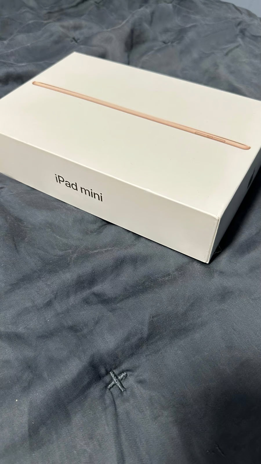 iPad Mini 9A95