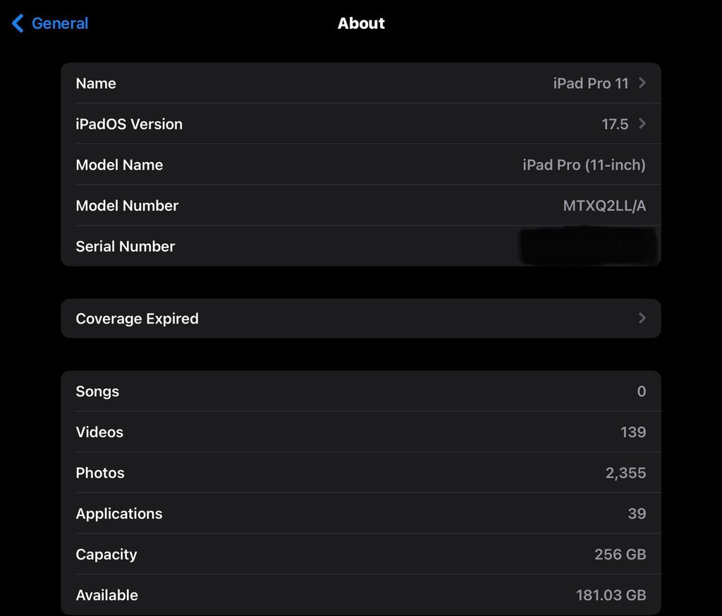 iPad Pro 11 inch 1st Gen 256GB With Apple Pencil 2nd Gen 5U96