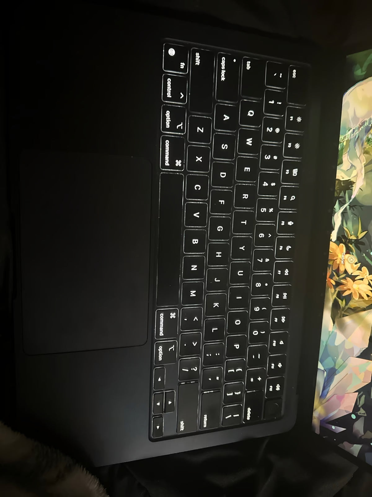 Apple Macbook Air 13in.  M2 3.49 GHz  256GB SSD 3Y83