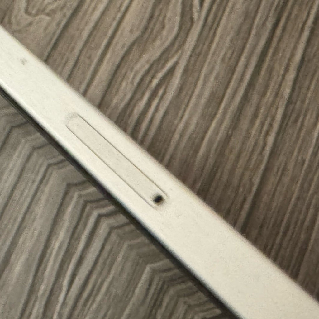 Silver iPad Pro 12.9 inch (4th Generation - 2020) (256GB + Wifi + Cellular) 6L63