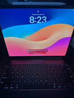 iPad Pro 13鈥?M4 Unlocked 7J32