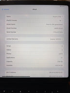 Apple iPad Air 5th Generation 256 GB (with Magic Keyboard and Magic Pencil) 5P22