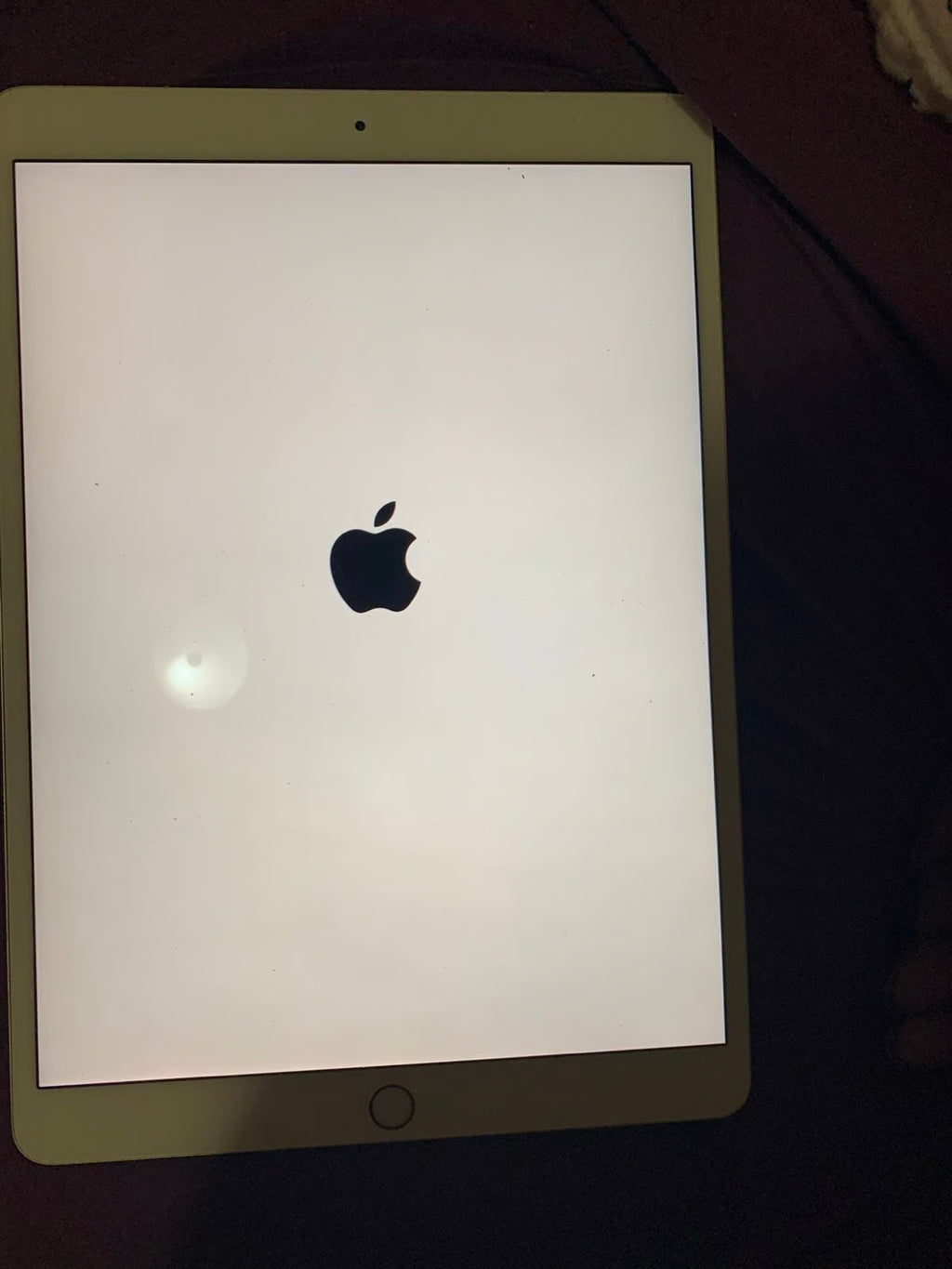 ipad mini 1C55