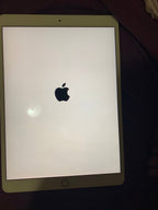 ipad mini 1C55