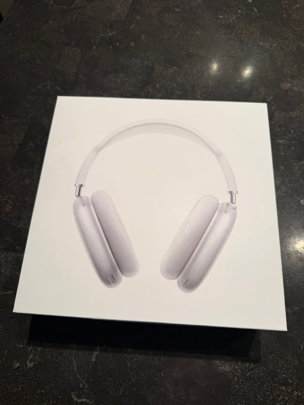 AirPods Max Silver (1st Generation) 6H16
