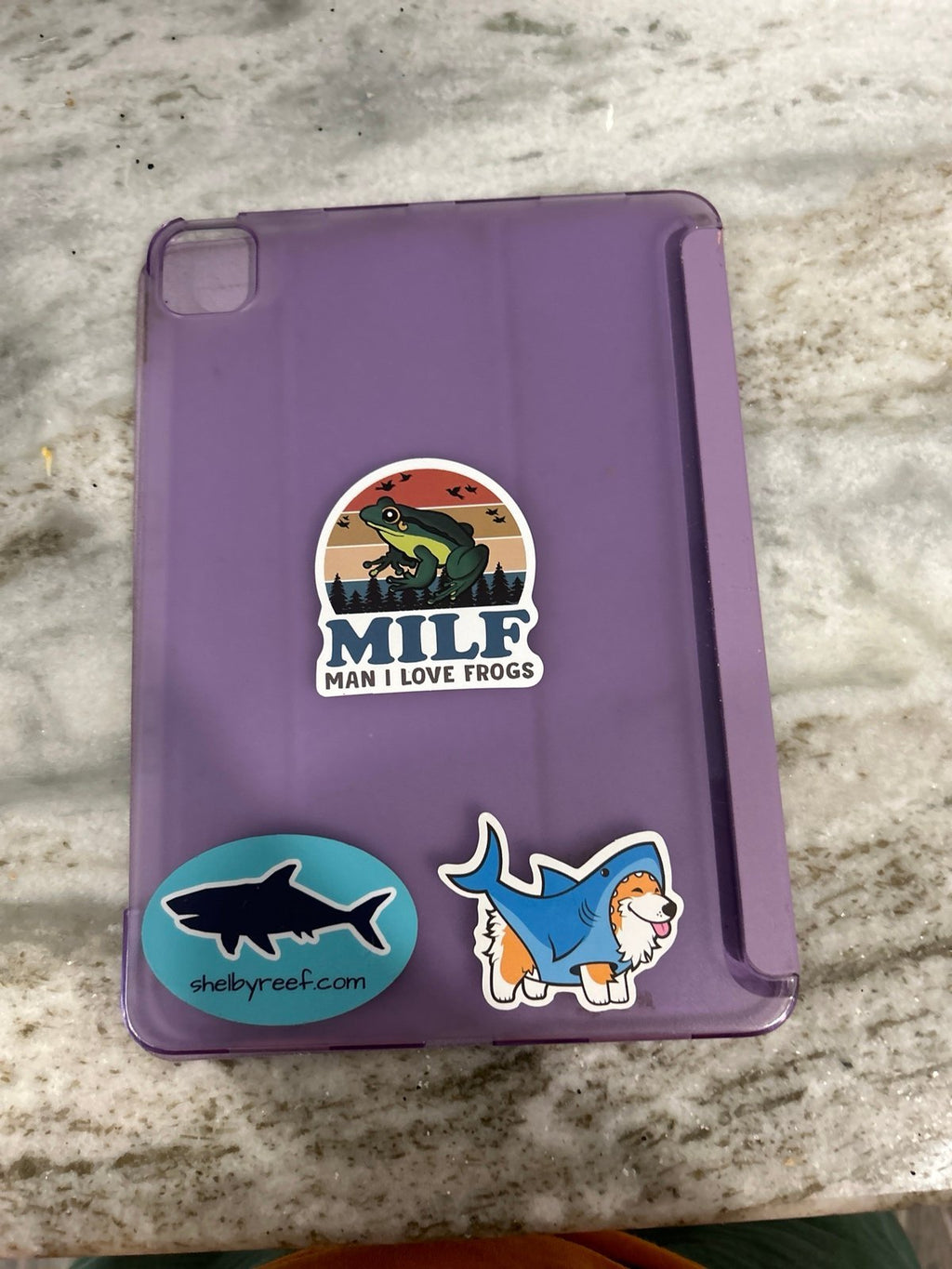 iPad Pro 11 inch 2nd generation 9S66