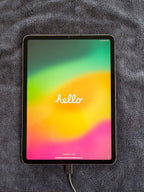 Apple ipad pro 11 inch (3rd gen) 128gb unlocked 3G38