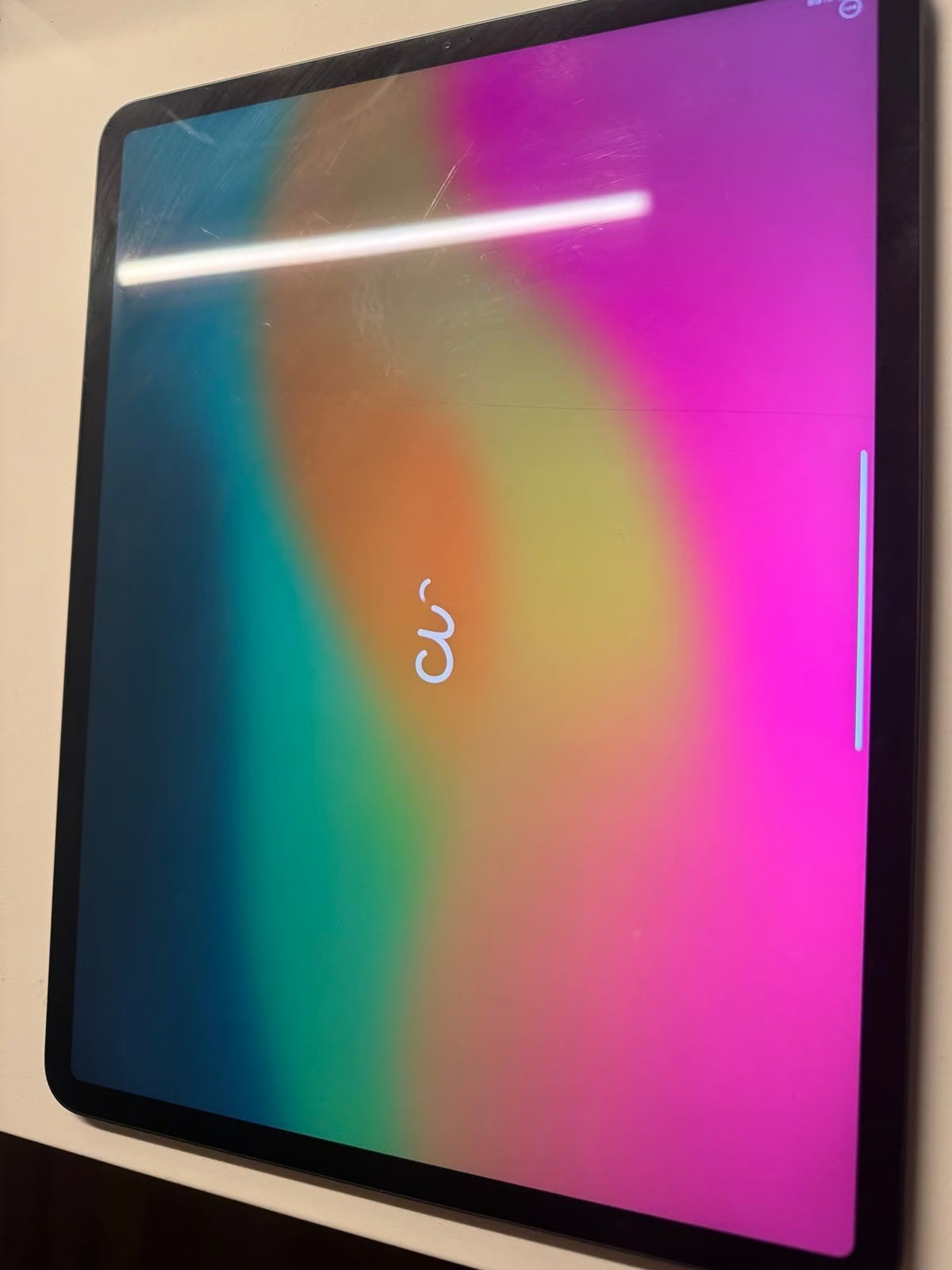 iPad Pro 4th Gen 1TB 2C51