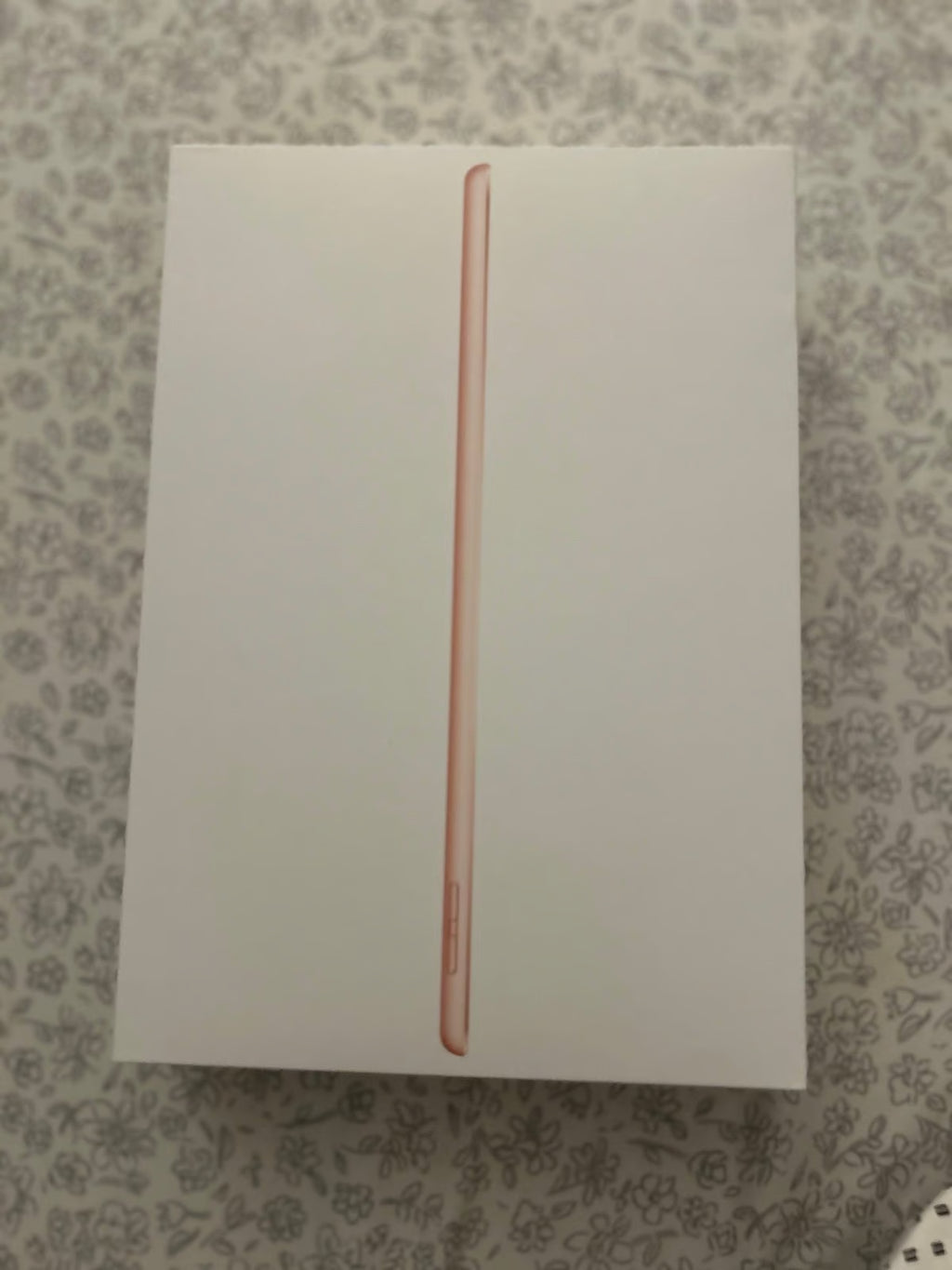 iPad Pro 3Q78