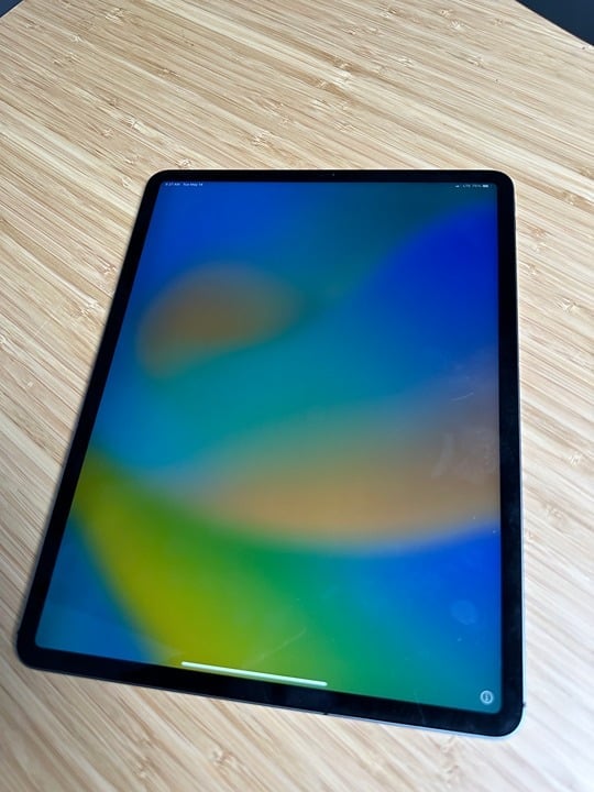 iPad Pro 12.9-inch 128GB (4th Generation) Wi-Fi + Cellular UNLOCKED 2W22