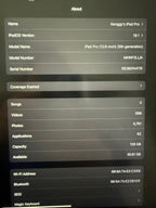 iPad Pro 12.9 inch (5th generation) 2E21