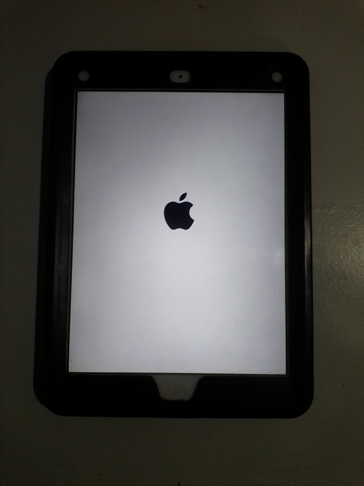 iPad mini 8G73