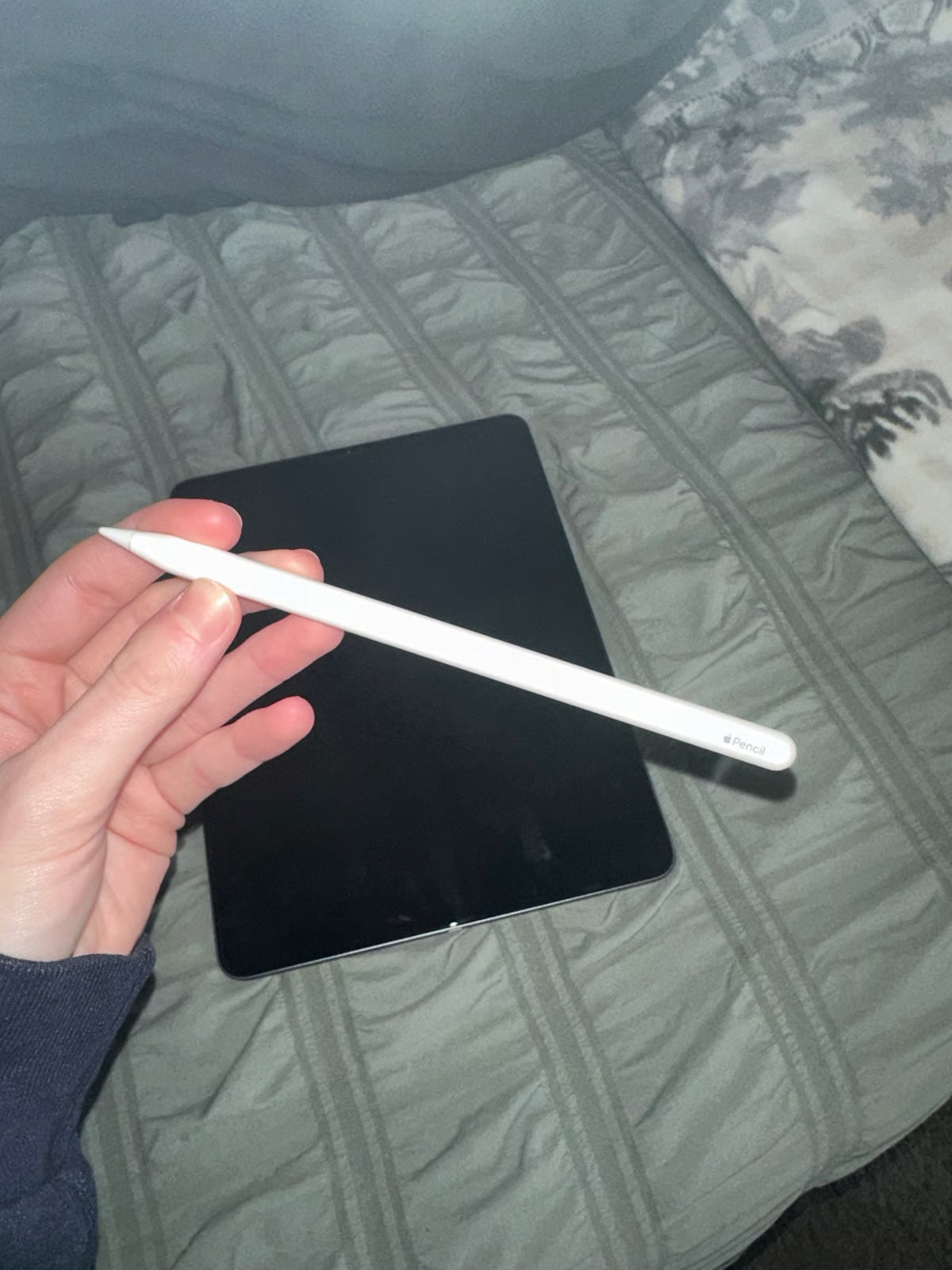 ipad pro 4th generation 8J62