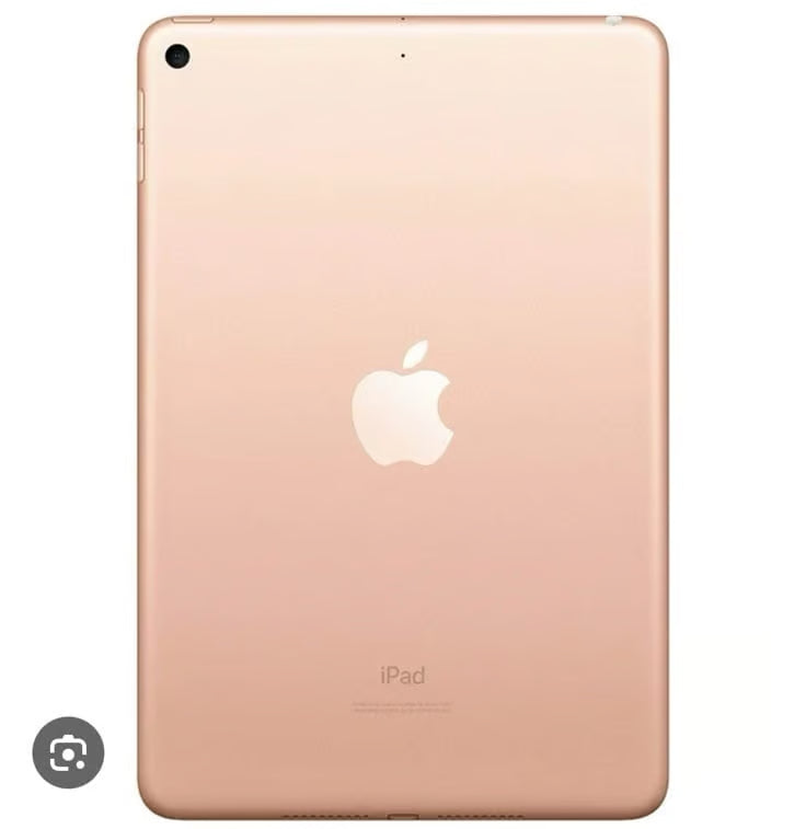 Apple IPad mini 5th gen 256gb cellular WiFi 7C55