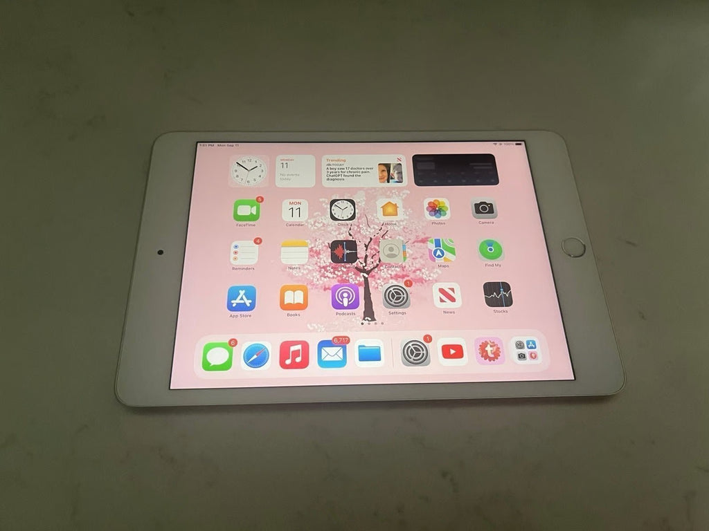 Apple iPad Mini 5th Generation 64 GB in Silver with Apple Pencil 9J36