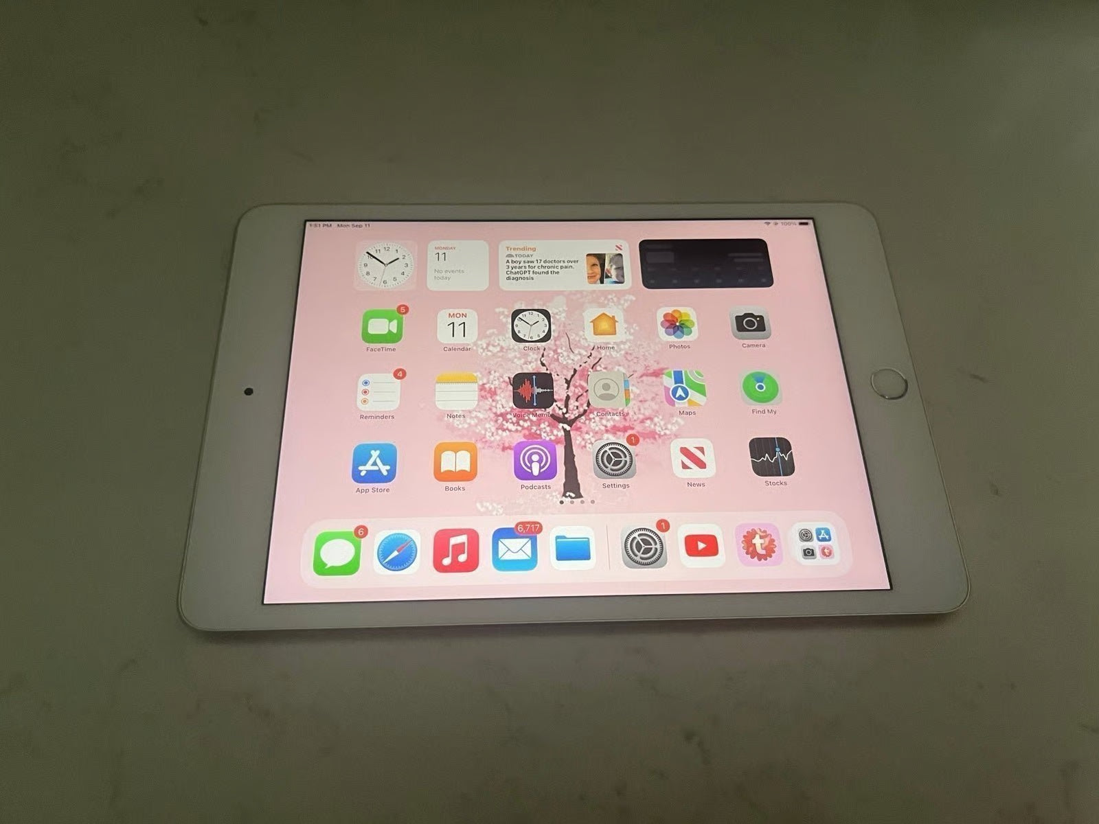 Apple iPad Mini 5th Generation 64 GB in Silver with Apple Pencil 9J36