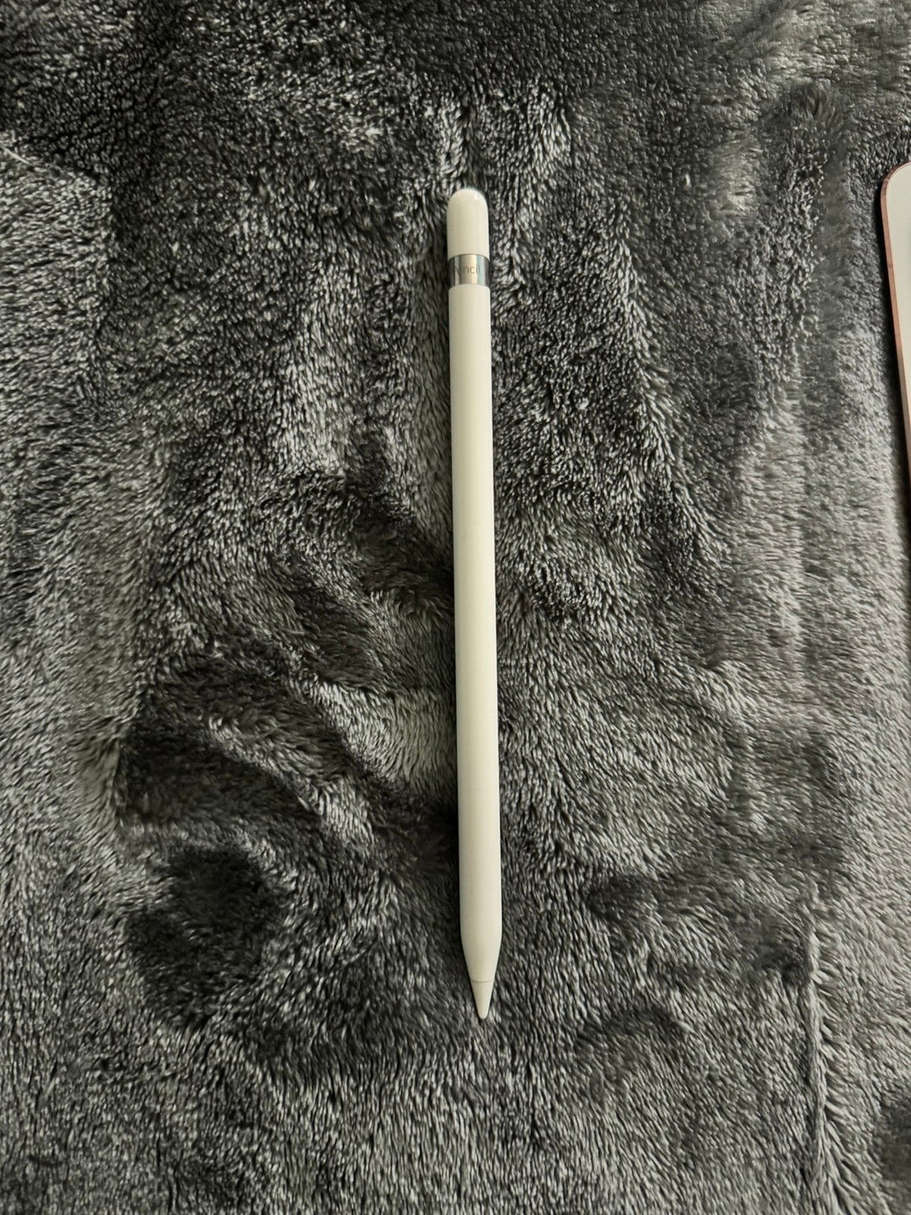 iPad Pro with Apple Pencil 8G75