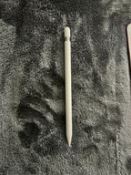 iPad Pro with Apple Pencil 8G75