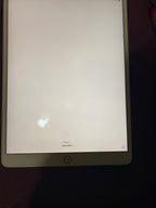 ipad mini 1C55