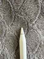 iPad Pro with M1 Chip 256GB - Apple Pencil & Case Bundle 3P96