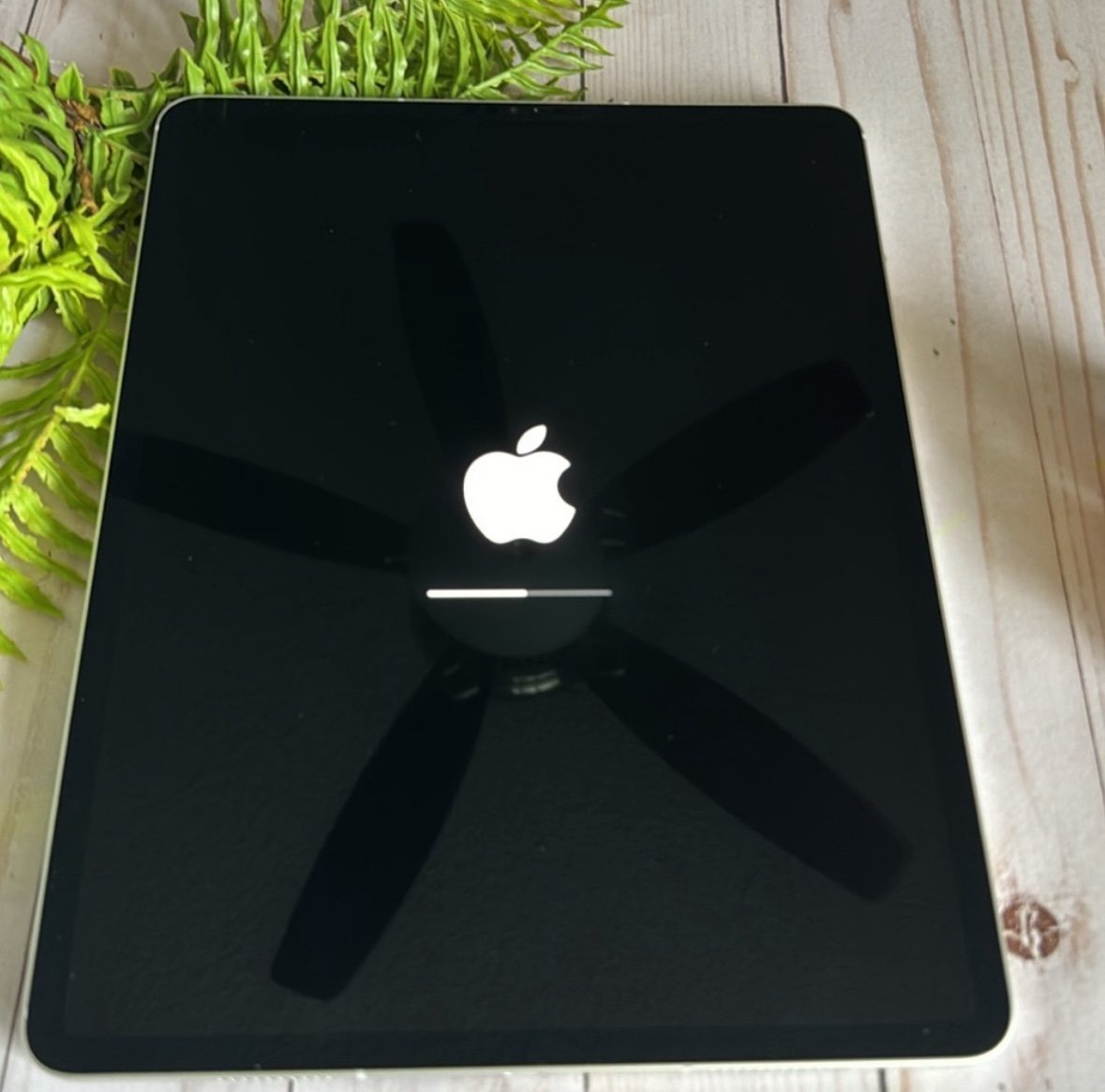 Apple iPad Pro 12.9-inch (6th Gen) 128 GB WI-FI + Cellular and Apple Pencil 5O65