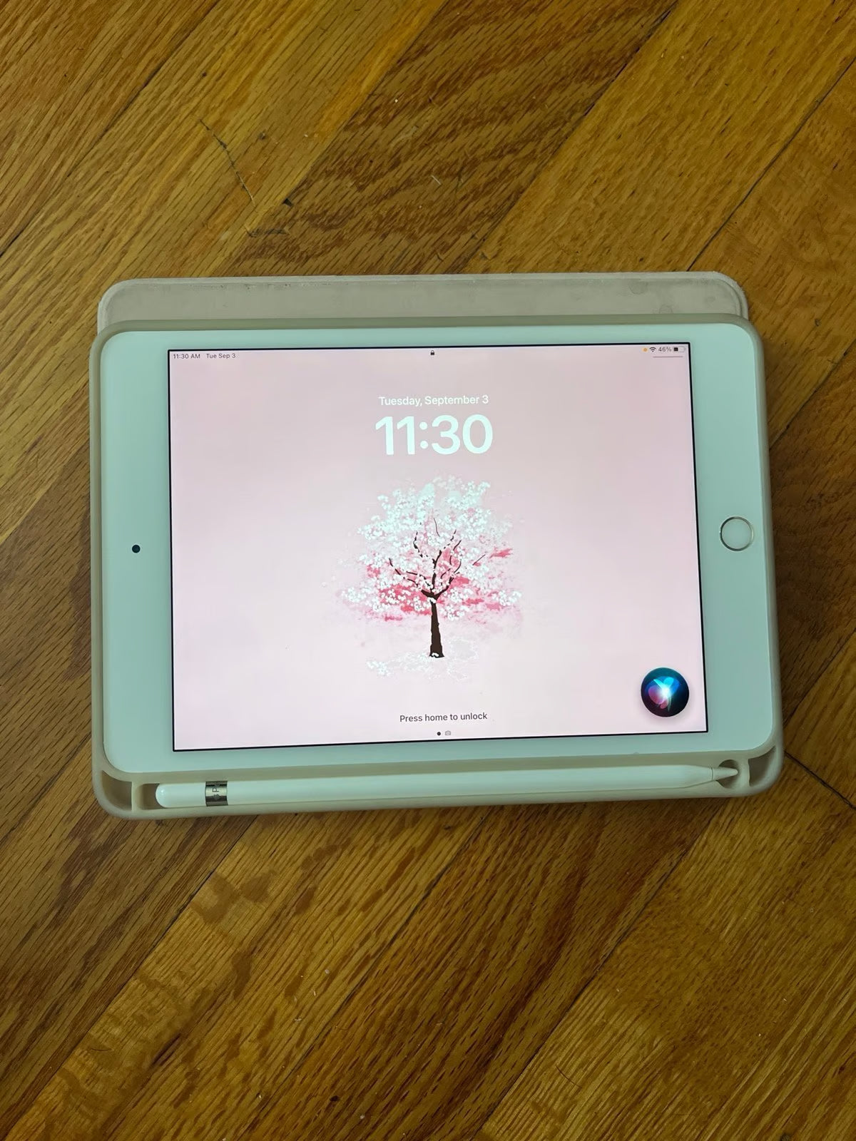 Apple iPad Mini 5th Generation 64 GB in Silver with Apple Pencil 9J36