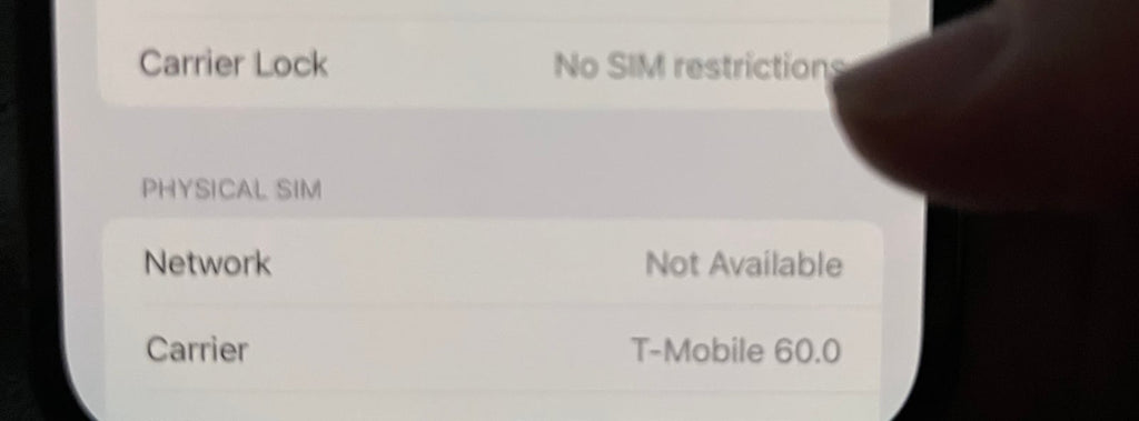 iPhone 13 Pro Max unlocked 5S36