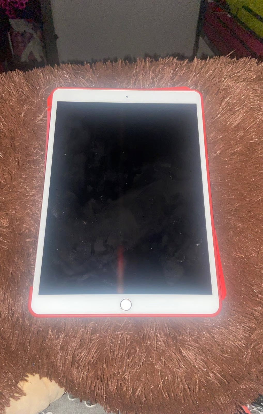 iPad Mini 5L77
