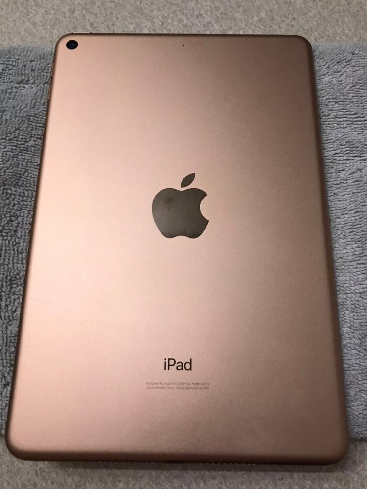 Ipad mini gen 5 6P22