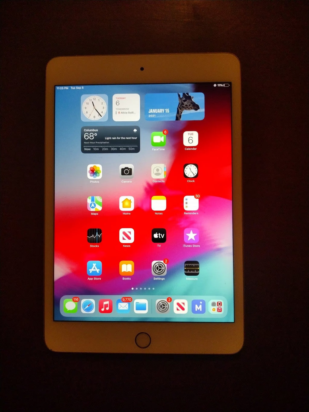 Apple iPad Mini 5th Generation 64 GB in Rose Gold 6Q32