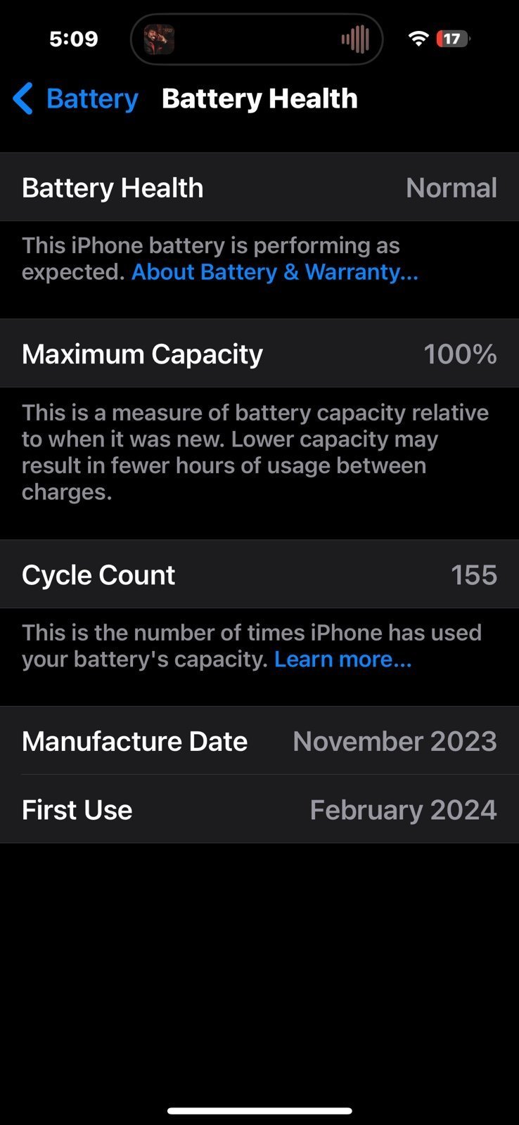 Apple IPhone 15 unlocked 5A13