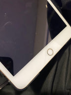 iPad mini 4 16Gb 2H35