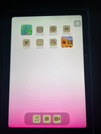 Apple iPad Mini 6th Generation 64 GB in Pink 8T73