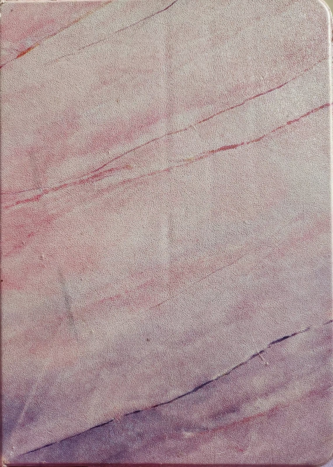 iPad Pro 11 inch 2nd Generation 256 GB Space Gray 2C72