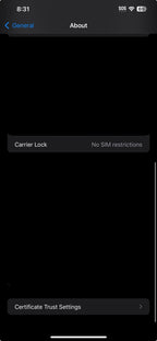 iPhone 12 Pro Max 128 GB UNLOCKED GREAT CONDITION 3E12