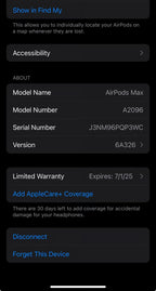 Apple AirPods Max in Silver 9J29