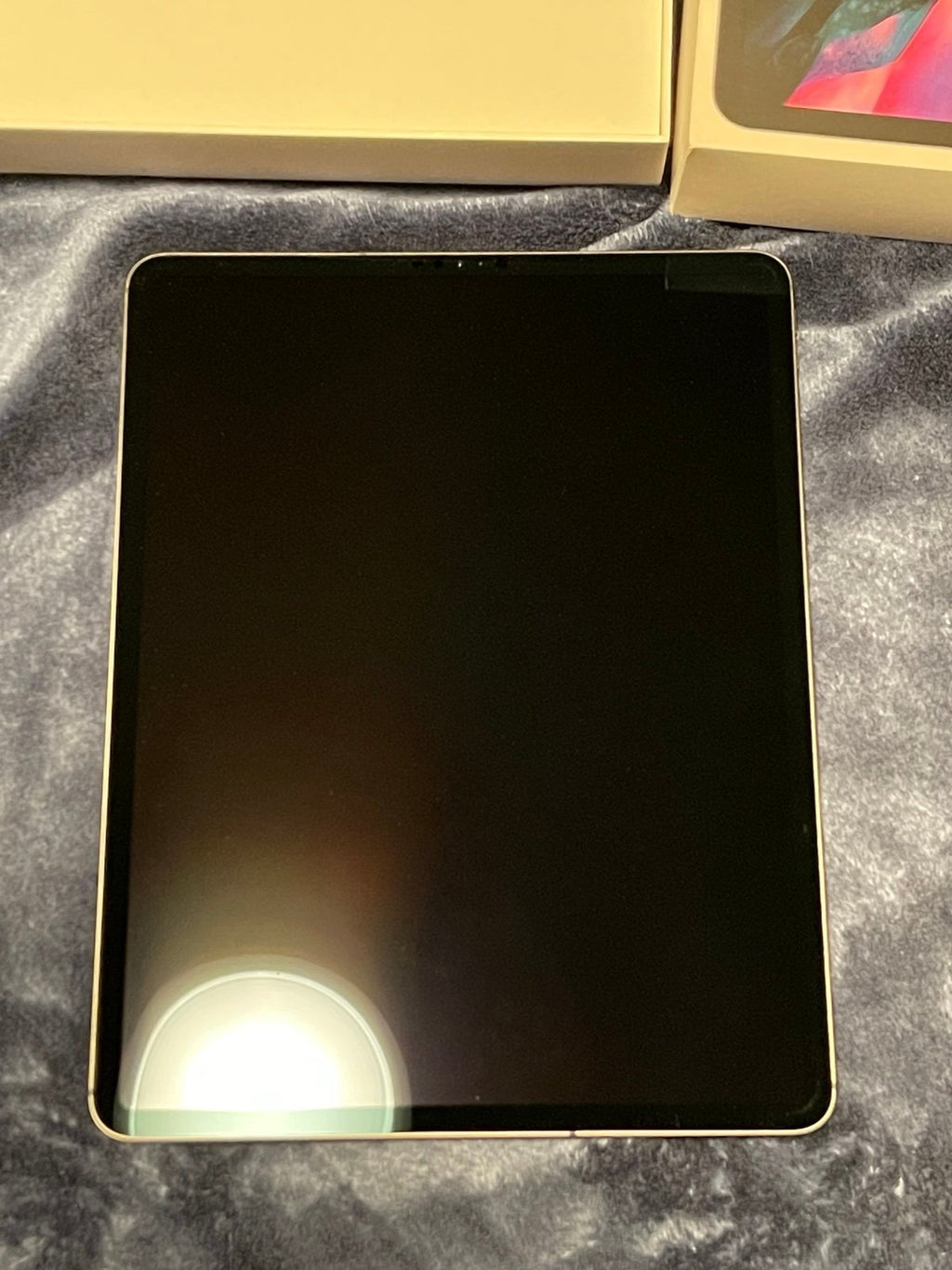 iPad Pro 12.9 4th gen 256GB Unlocked 8C76