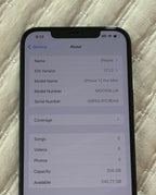 Apple iPhone 12 Pro Max 256 GB in Pacific Blue 8X21